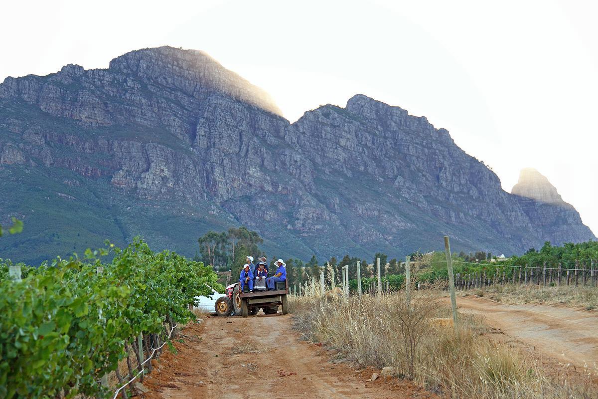 Muratie Wine Estate Stellenbosch Zewnętrze zdjęcie