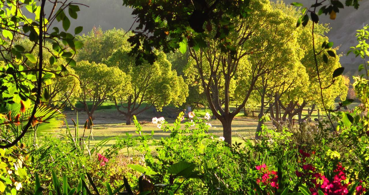 Muratie Wine Estate Stellenbosch Zewnętrze zdjęcie
